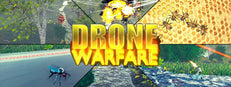 Drone Warfare