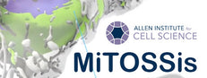 MiTOSSis